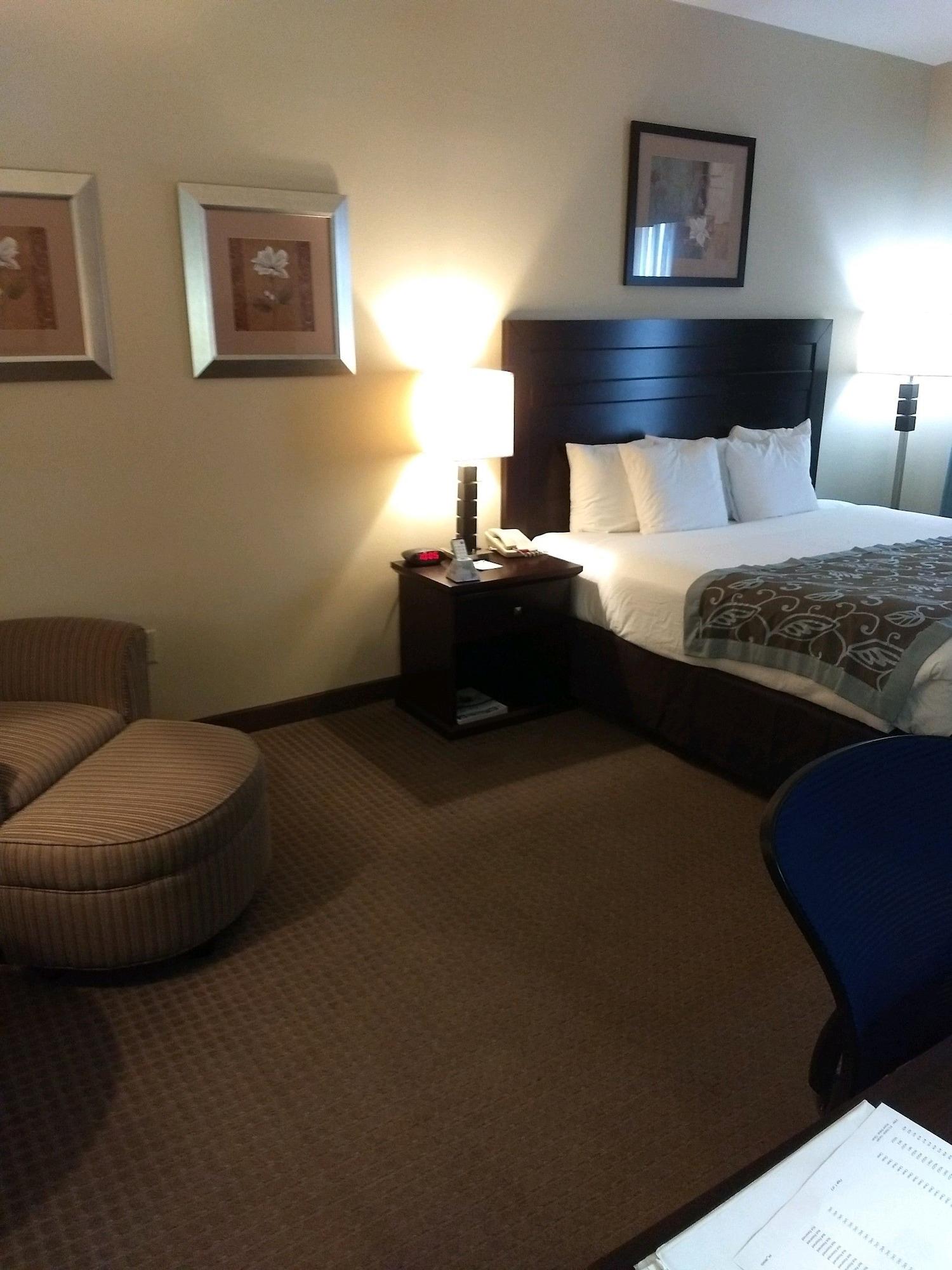 Wingate By Wyndham New Braunfels Ξενοδοχείο Εξωτερικό φωτογραφία